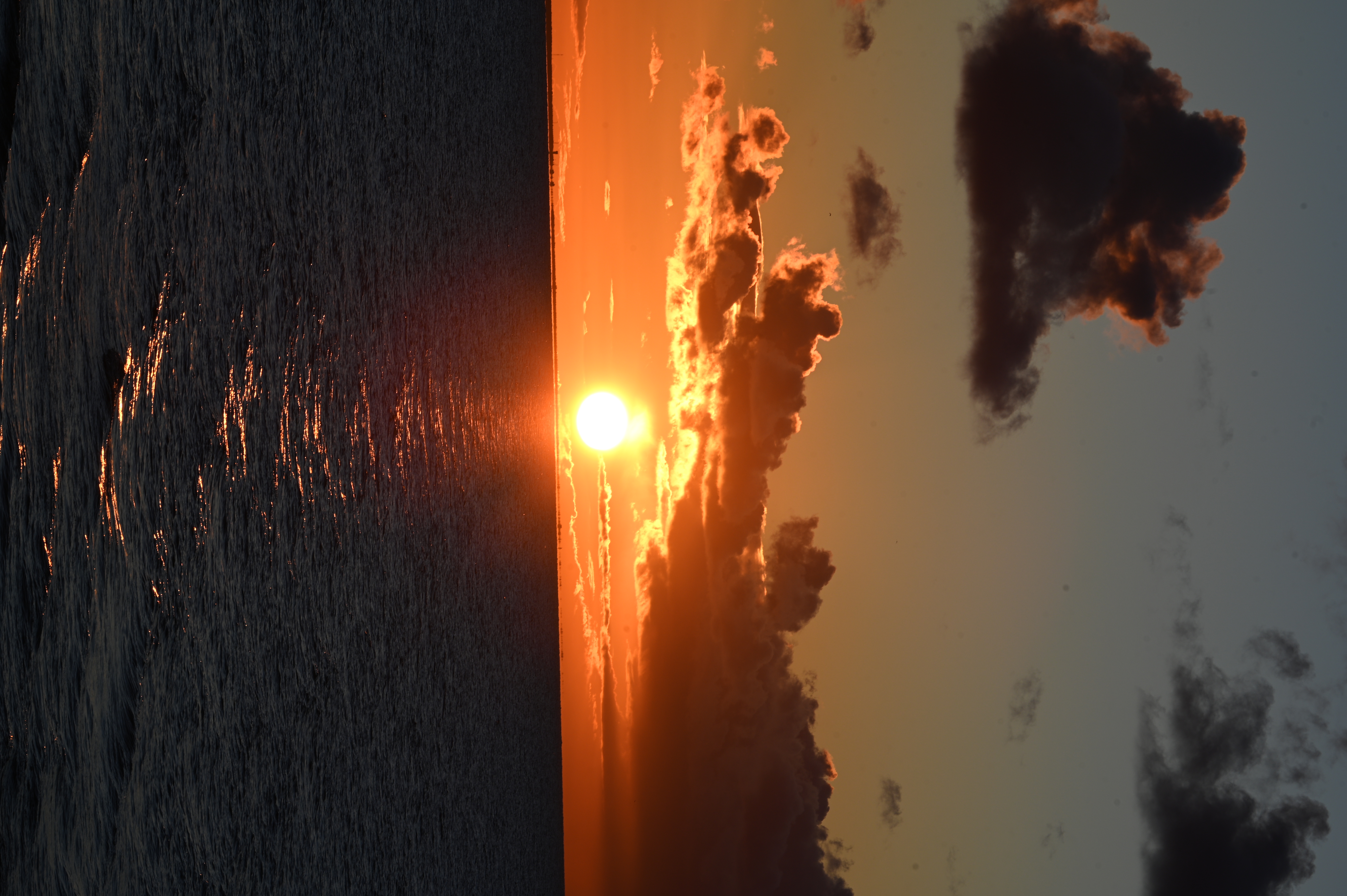 2025/10/18 - walk/DSC_0440.JPG